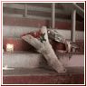  avatar   sotiris7