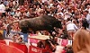 pajarito